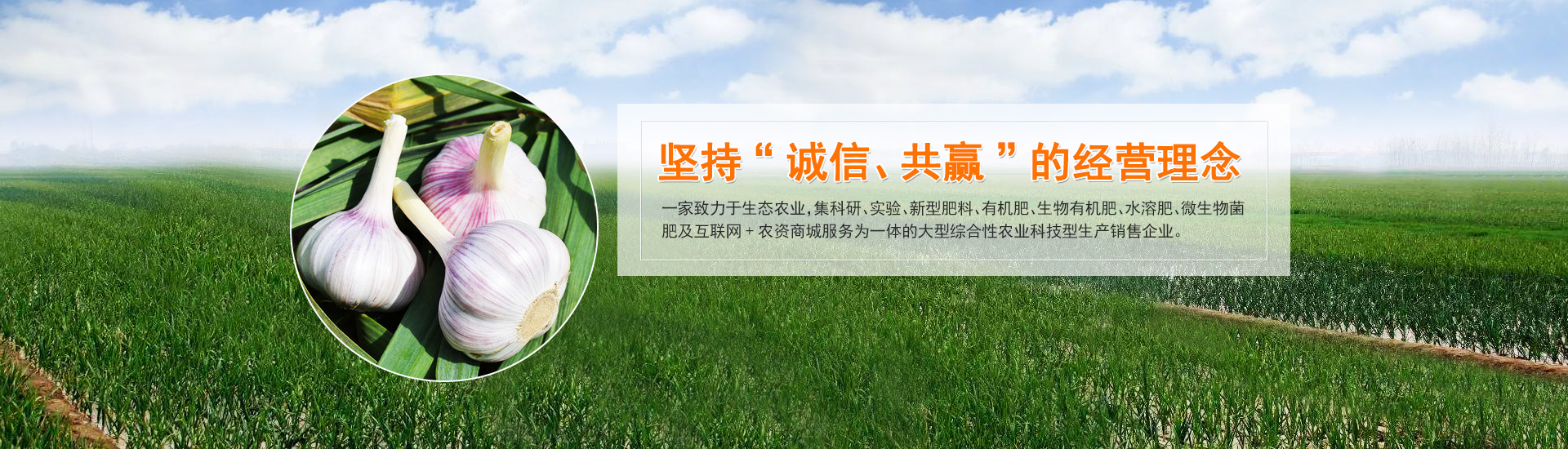 江蘇有機(jī)肥