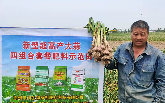 新型超高產(chǎn)大蒜四組合套餐肥料示范田