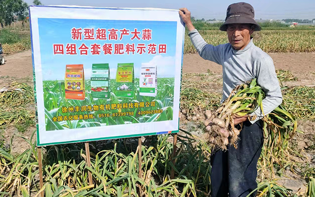 新型超高產(chǎn)大蒜四組合套餐肥料示范田